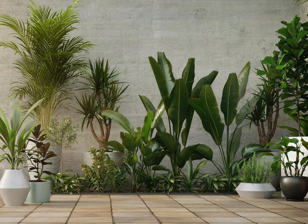 Macetas y jardineras