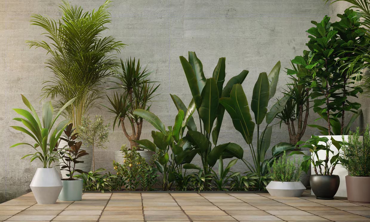 Macetas y jardineras